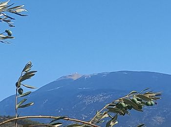 Tocht Stappen Saint-Romain-en-Viennois - St Romain Puymeras Faucon - Photo