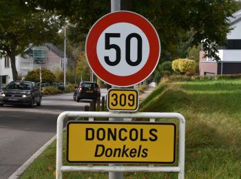 Tour Wandern Winseler - 20211017 - Doncols 8.4 Km - Photo