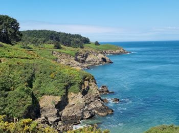 Tour Wandern Le Palais - le palais Sauzon Belle île 17 mai 2022 CA - Photo