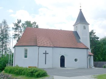 Randonnée A pied Rohrbach an der Lafnitz - Wanderweg 10 - Photo