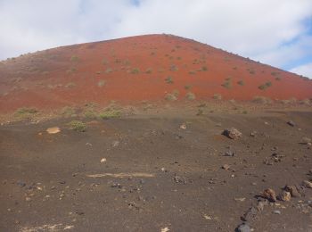 Tour Wandern Tinajo - Montaña Colorada 18.10.24 - Photo