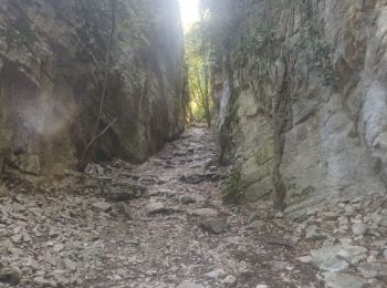 Trail Walking Seyssinet-Pariset - tour st venin - Photo