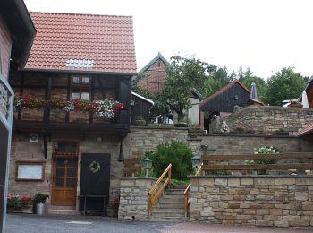 Randonnée A pied Roßleben-Wiehe - Großer Rundweg Hohe Schrecke - Photo