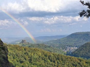 Tour Wandern Murol - Murol_Grottes_Rajat - Photo