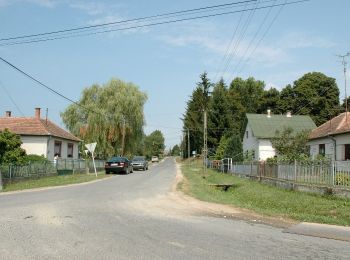 Percorso A piedi Pusztaszentlászló - Z+ - Photo