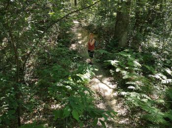 Trail Walking Vendôme - bois oratoire - Photo