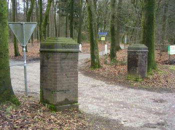 Randonnée A pied Renkum - Hoog Oorsprong-Zilverberg-route - Photo