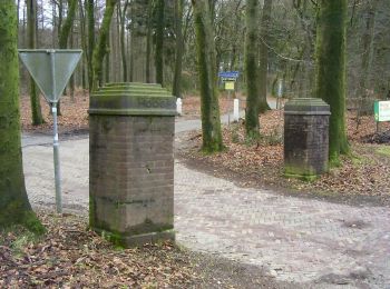 Trail On foot Renkum - Hoog Oorsprong-Zilverberg-route - Photo