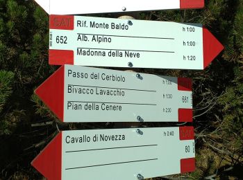 Trail On foot Avio - Sentiero Bovi - Photo