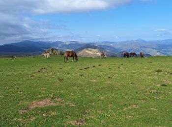 Tour Wandern Lecumberry - okabe - Photo