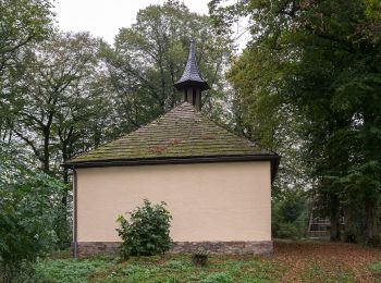 Tocht Te voet Marienmünster - Niesetalweg - Photo