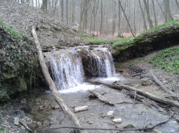 Percorso A piedi Cinquechiese - K● Tripammer-fa – Melegmányi-völgy – Kánya-forrás - Photo