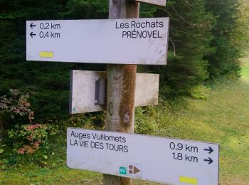 Trail Walking Nanchez - les Piards Prenovel de Bise  - Photo