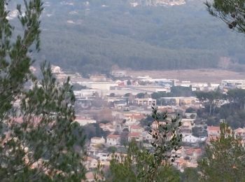 Tour Wandern La Penne-sur-Huveaune - boucle de la penne  - Photo