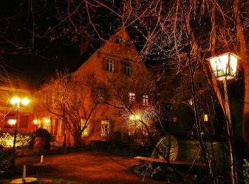 Tour Zu Fuß Weil der Stadt - Johannes-Kepler-Planetenweg - Photo