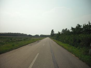 Percorso A piedi Bélmegyer - P+ - Photo