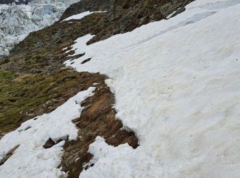 Excursión Senderismo Chamonix-Mont-Blanc - La Jonction depuis le parking de Mont (Chamonix) - Photo