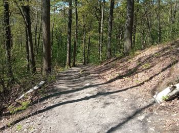 Trail Walking Buc - tour de l'étang de la geneste - Photo