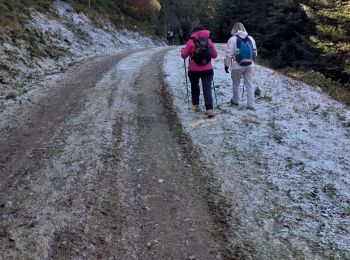 Randonnée Marche Aucun - AUCUN VERO rando couraduque hivernale - Photo