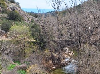 Trail Walking Callas - Callas - Le Pont d'Endre depuis Les Crottes  - Photo