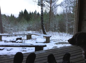 Percorso A piedi Sconosciuto - Vildmarksspåret Hjortgården 10km (gamla spåret) - Photo