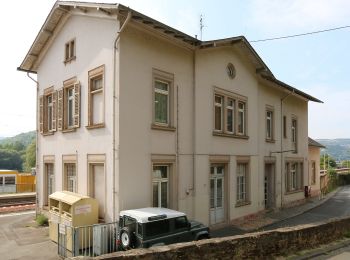 Tour Zu Fuß Lorch - Rundwanderweg Lorch 3 - Photo