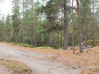 Trail On foot Jyväskylä - Sippulanniemen luontopolku - Photo
