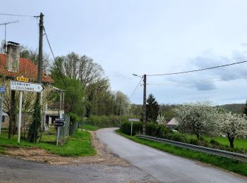 Trail Walking Marigny-en-Orxois - Marigny-en-Orxois du 07-04-2024 - Photo
