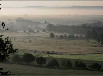 Tocht Te voet Gersheim - Medelsheim Kreuz-Rundwanderweg - Photo