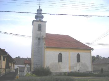 Excursión A pie Csót - Reformáció útja (Pápa) - Photo