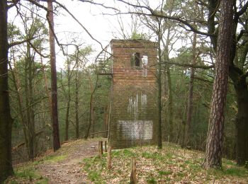 Tocht Te voet  - Zum Kleinen Ravensberg - Photo