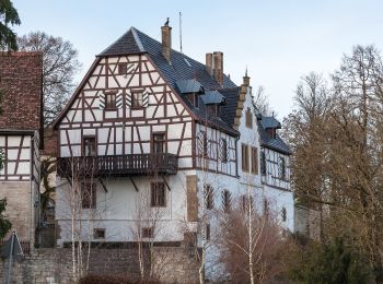 Tour Zu Fuß Schöntal - DE-grün 4 - Photo