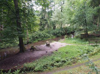 Trail On foot Soltau - Wanderweg Schmetterling - Photo