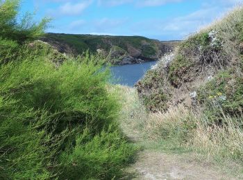 Trail Walking Sauzon - GR 340 - Belle-Ile Jour 2 de la Pointe des Poulains au Grand Large - Photo