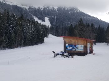 Tocht Langlaufen Sarcenas - Ski de fond - col de porte - Photo