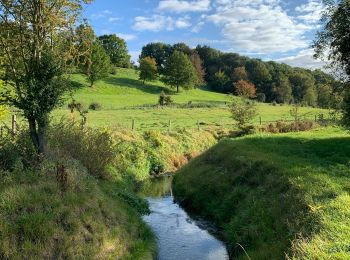 Randonnée Marche Saint-Trond - La réserve naturelle Overbroek à Saint-Trond - Photo