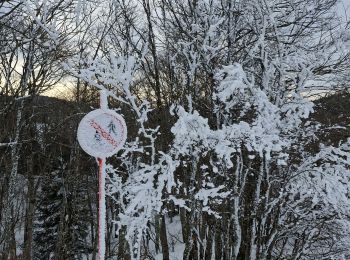 Tocht Sneeuwschoenen Bouvante - 20250121fonrurle - Photo