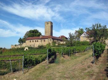 Tour Zu Fuß Sulzfeld - Trockenmauer-Weg - Photo