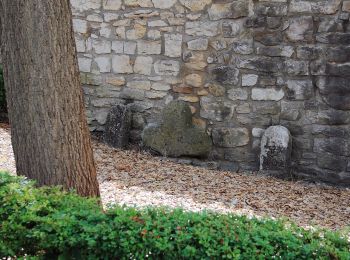 Tour Zu Fuß Bad Mergentheim - Liebliches Taubertal 15 - Photo