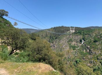 Tour Wandern Canelas e Espiunca - Passadicos do Paiva walkways  - Photo