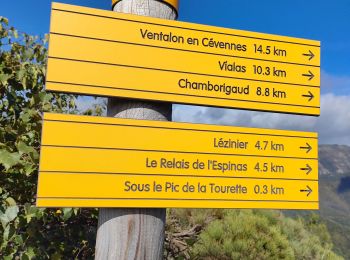 Tour Wandern Chamborigaud - rando Cévenole 3 - Photo