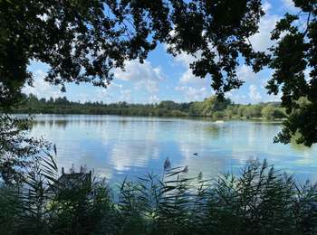 Randonnée Marche Grez-Doiceau - GRP127/GR579: de Pécrot à Genval - Photo