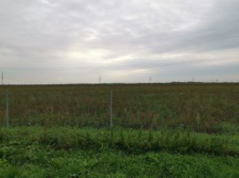 Tocht Te voet Oberschleißheim - Heidepfad - Mallertshofer Holz - Photo