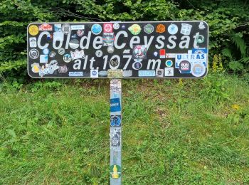 Randonnée Marche Ceyssat - Tour Puy Dôme  - Photo