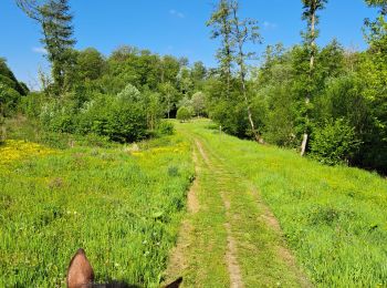 Tour Reiten Walcourt - les 7 ponts - Photo