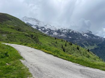 Randonnée Marche Vaujany - Sabot cochette enneigée  - Photo