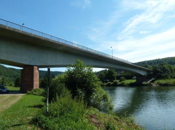 Trail On foot Neunkirchen - Neckarkatzenbach-Weg - Photo