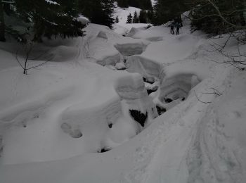Excursión Esquí de fondo Bellevaux - COMBE SUSPENDUE - Photo