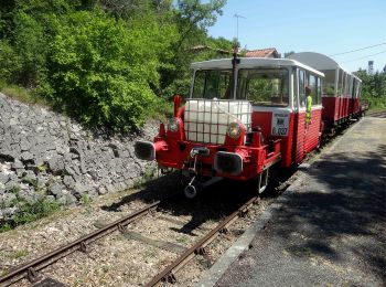 Tocht Te voet Nérac - Mézin, vers Nérac, avec le petit train touristique 19.6 km - Photo