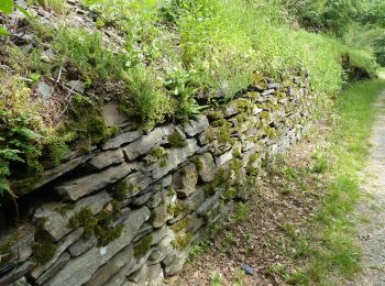 Randonnée A pied Altenahr - Altenahr Rundweg 1 - Photo